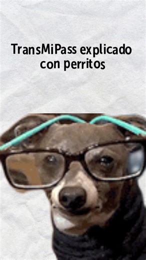 Cómo funciona TransMiPass en Bogotá