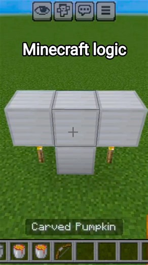 Minecraft Logic 🤔 (World's Smallest Violin) #minecraft #shorts