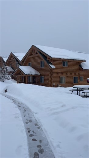 Kinda busy doing to all at Bear River Lodge. 🐻 Bearriverlodge.com #luxurycabins #bearriverlodge #outdoors #hiking #fishing #scenery #travel #wildlife #mountains #riverside #adventure | The Cabins at Bear River Lodge