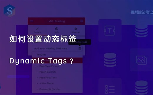 如何设置Dynamic Tags动态标签？