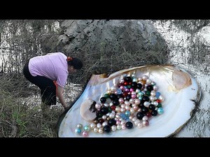 Look for and find freshwater clams in the silt, and colorful pearls grow in the dirty water