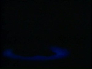 Memorably Mickey (1987) VHS