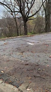 The big lightning bolt I caught on video 6 min 30 sec into my live update last night struck a tree at Wilson Park and did this. This is considered a lower end weaker lightning bolt and it still blew the bark right off this tree. #ARwx #Lightning Video courtesy of Abby Jones! | Meteorologist Dan Skoff
