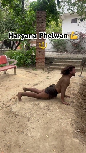 Haryana Phelwan #shorts #shortvideo #trending #viral #youtubeshorts #ytshorts