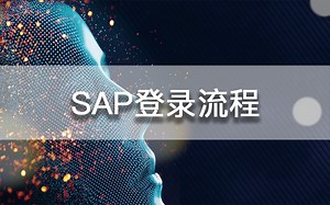SAP登录流程