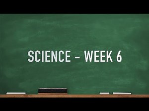 CC Cycle 2 Week 6 Science