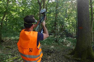 Problem-Raupen im Visier: Mit Paintball-Kanone gegen Eichenprozessionsspinner