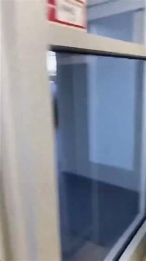 This Raccoon Opened the Freezer and Made a Run for It 🍦 #funny