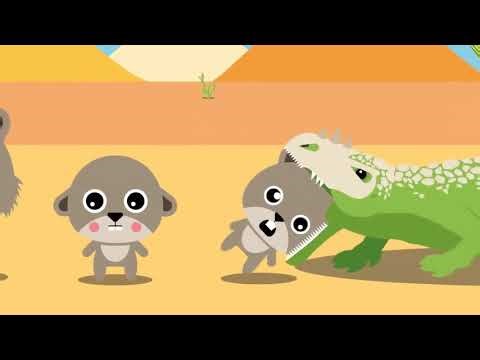 How Evolution works