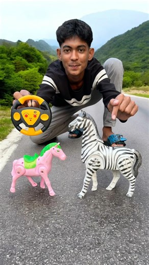 Rc Remote Wala Small Horse And Zebra Unboxing Dise Deko🔥