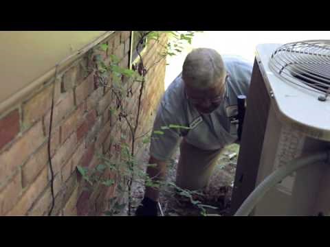 Security Pest Control located in Alexander City, AL