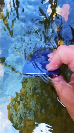 iPhone Underwater Camera Test: Stunning POV Footage! 📱🌊