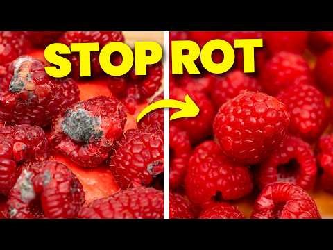 This One Trick Keeps Fruit Fresh For Days Longer