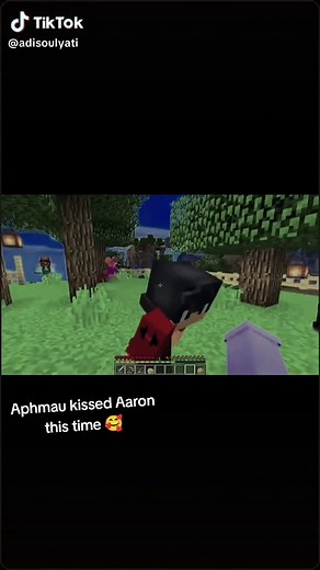 Aphmau and Aaron Kiss Compilation | Minecraft Love Story