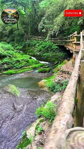 Beautiful River Sounds 🌊 | Peaceful Nature Relaxation & Sleep Ambience #shorts #relaxing