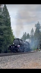 1.3M views · 30K reactions | Listen to that echo! The sound of Union Pacific Railroad's 4014 bounces off of the mountains as it works up grade #railway #railroad #STEAM #steamengine #steamlocomotive #history #locomotive #thatsteamguy #historicpreservation #operations #heavyequipment #heavymetal #heavymachinery #UnitedStates #train #trains #railway #railroad #tradesman #trades #education #MadeInUSA #operations #running #science | That Steam Guy | Facebook