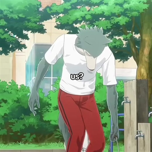 Adorable Beastars Anime Couple Edits