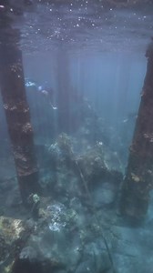 These piers were so magical 🫶 Tails by Finfolk Productions Wands and Wishes Mermaids | Mermaid Sirenity