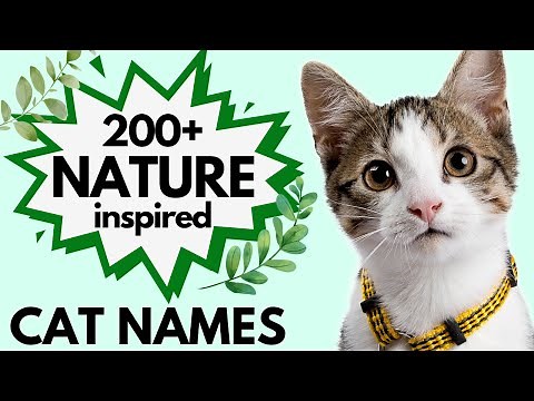 200+ Nature Inspired CAT NAMES🌿🍃 | Unisex Cat Names