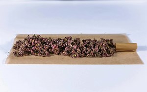 Cannabis Terpenes Explained: What They Are (and the 10 Tastiest Ones)