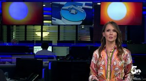 What is the UV Index?