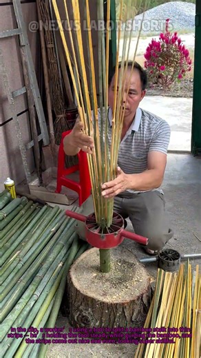 Bamboo Splitting Hack: This Tool Makes Even Strips Super Easy #BambooCraftTips