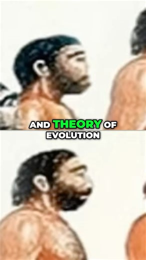 Evolution or Intelligent Design?