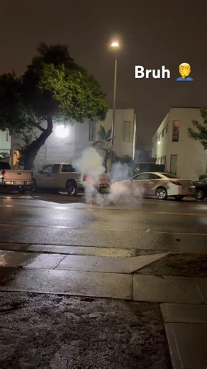 King Fu Rabbit Salute fail #pyro #pyrotechnics #safetyfirst #viral #fireworks #pyrolife #fire #fire