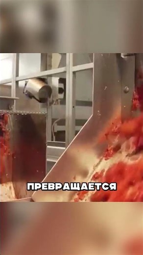 ЧТО СКРЫВАЮТ ПРОИЗВОДИТЕЛИ КЕТЧУПА? 🤬🤯🍅