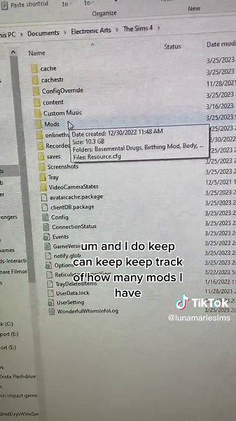 This is how i keep my mods folder organzied so broken mods dont ge tro ruin my game as much. Things are easy to find and fix. @thesims #sims4 #simstok #simmers #ts4 #thesims #sims4news #sims4tipsandtricks #fyp #gamers #simulations #sims4mods #sims4cc #sims4tips #contentcreator