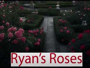 Ryan's Roses Carolina July 16, 2014
