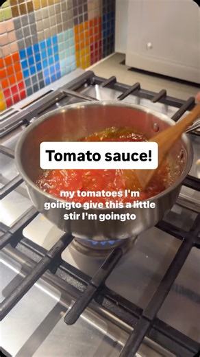 Chefsmartypants on Instagram: "How to make tomato sauce! 🥫 🍅 I get a lot of questions about the kitchen equipment I use, and this pan is from @misenkitchen. Use my link in my bio to get a discount! #tomato #tomatosauce #tomatoes #cooking #cookingtips"