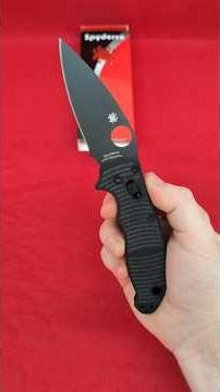 Manix 2 Salt (C101GMCBKP2) Black G-10 - CPM-MagnaCut by Spyderco