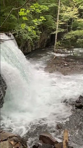 奥入瀬渓流の滝を堪能できる場所🕹️￼銚子大滝 奥入瀬渓流 青森県