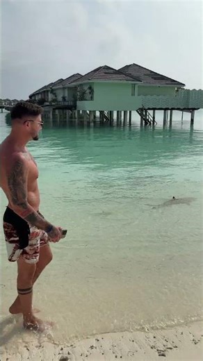 MC Stojan pliva sa ajkulama na Maldivima 🙀 🦈