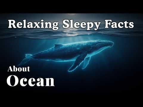 100 Relaxing Ocean Facts for Deep Sleep — Dreamy Science