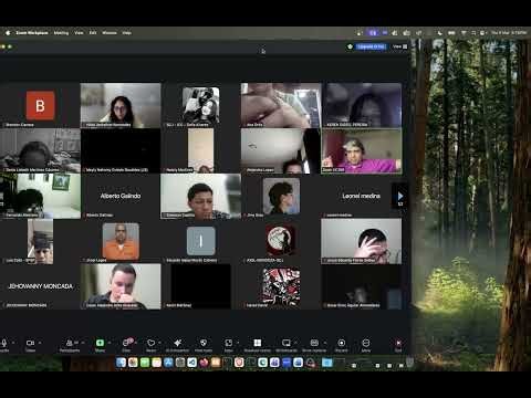 Modelo de Cajas en HTML y CSS