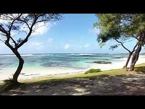(No Ads)🌊 Shady Beach Waves & Relaxing Music | 10 Hours of Peaceful Ocean Sounds 🏝️