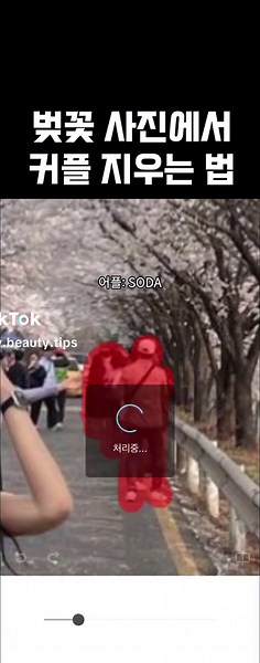 솔로도 이제 맘편히 벚꽃사진 찍자ㅋㅋㅋ 어플: soda #벚꽃 #추천 #솔로 #커플 #보정어플 #벚꽃사진