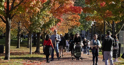 How getting outside can improve your physical and mental health