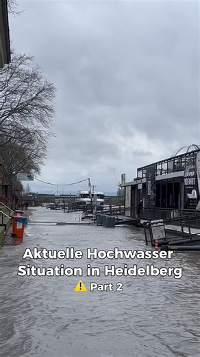 Bootsfahrten in Heidelberg: Ein unvergessliches Erlebnis