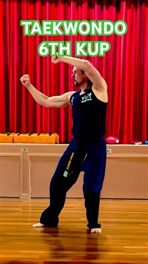 Taekwondo 6th Kup Pattern Won-Hyo