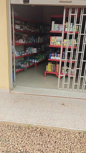 Automating a Mini Shop: Going Beyond Excel