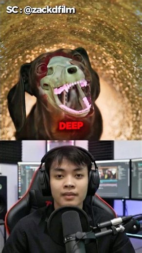 Why Dachshunds Are Shaped Like Sausages 🌭🐕 #DogFacts