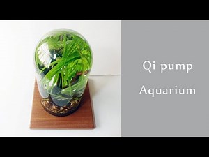 ワイヤレスポンプを使った密閉できるアクアリウム