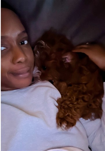 Understanding Cavapoo Crate Training Failures