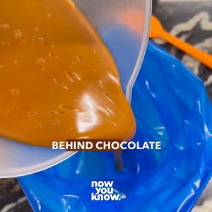 Extra $20 off with the code: Chocolate20 Learn to temper, mold, and design stunning treats in 36 online lessons! ✔ Lifetime access ✔ Free Airbrush Bonus Over 55k students can’t be wrong. Join today! | Now You Know. | Facebook