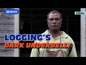 How girls and small villages bear the brunt of logging | The Pacific | ABC News