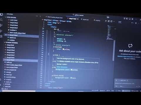 I Learned CSS Selectors Today | Beginner Coding Journey