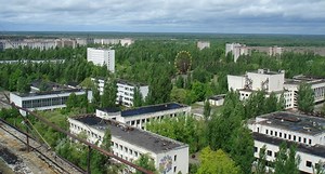Tchernobyl : pour quelles raisons les plantes ne sont-elles pas décimées par les radiations ?